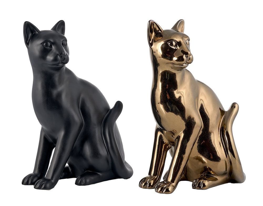 chats assis