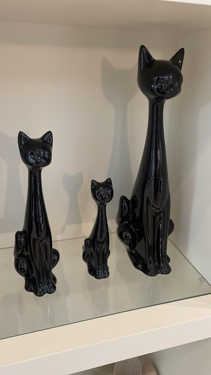 chat noir