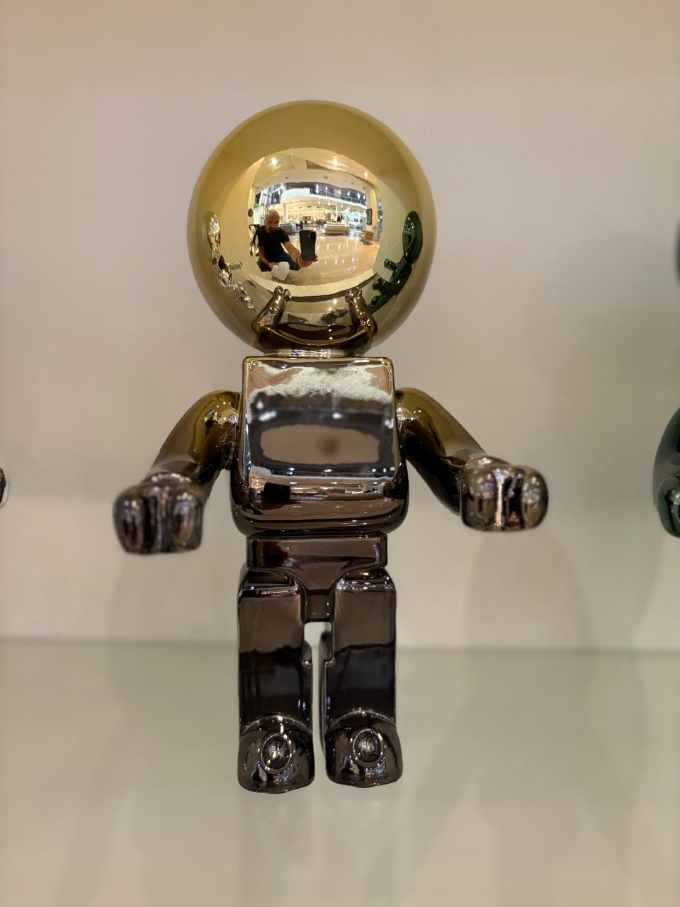 Astro-robot