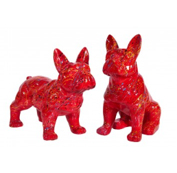 chien splash